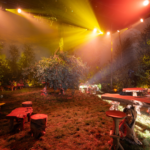 Studio 4 - Forest